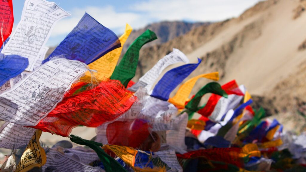 viaggio di gruppo organizzato in ladakh e kashmir 4